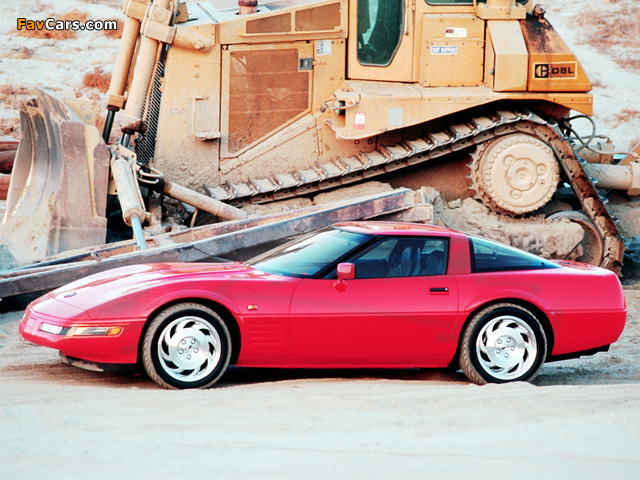 Corvette Coupe (C4) 1991–96 photos (640 x 480)