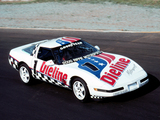 Corvette ZR-1 Dieline Coupe (C4) 1991–92 photos