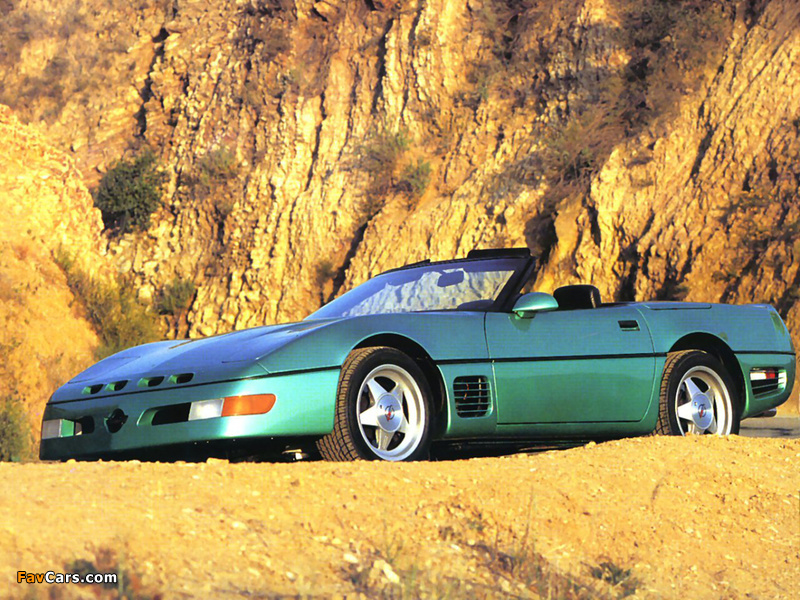 Callaway C4 Series 500 Twin Turbo Corvette Speedster (B2K) 1991 pictures (800 x 600)