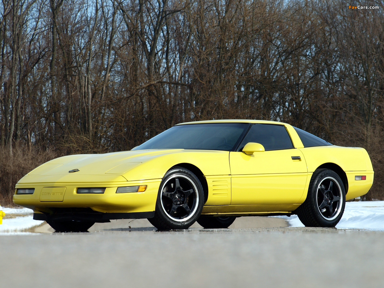 Corvette Coupe (C4) 1991–96 pictures (1280 x 960)