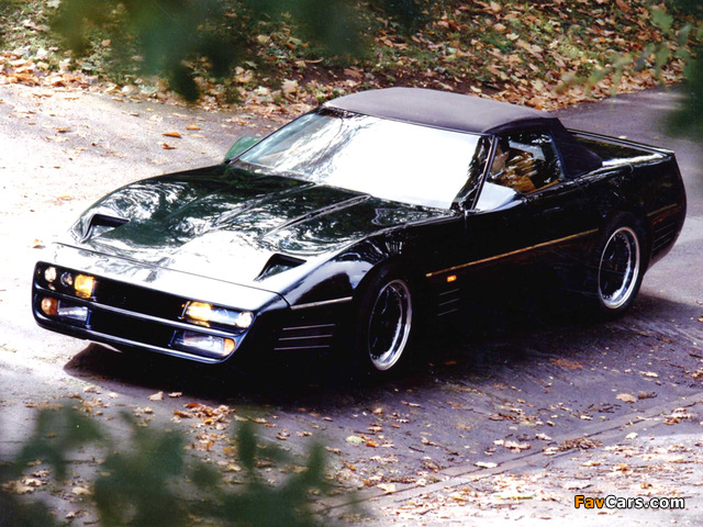 RJD Tempest based on Corvette ZR-1 1991 pictures (640 x 480)