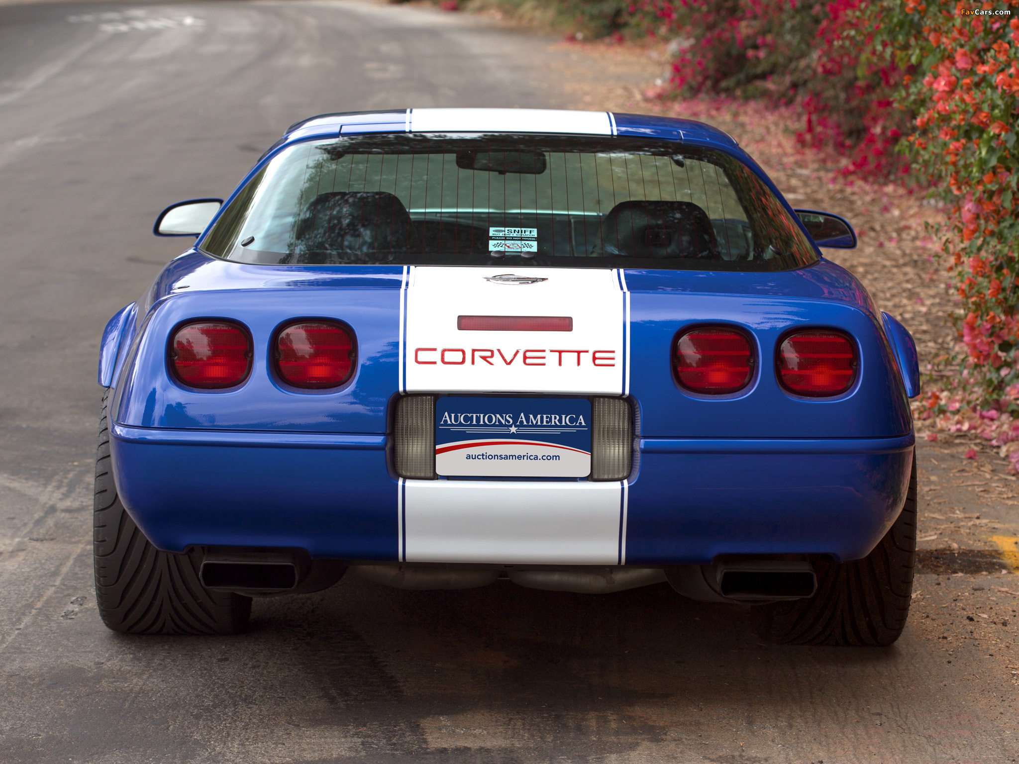 Corvette Grand Sport Coupe (C4) 1996 photos (2048 x 1536)