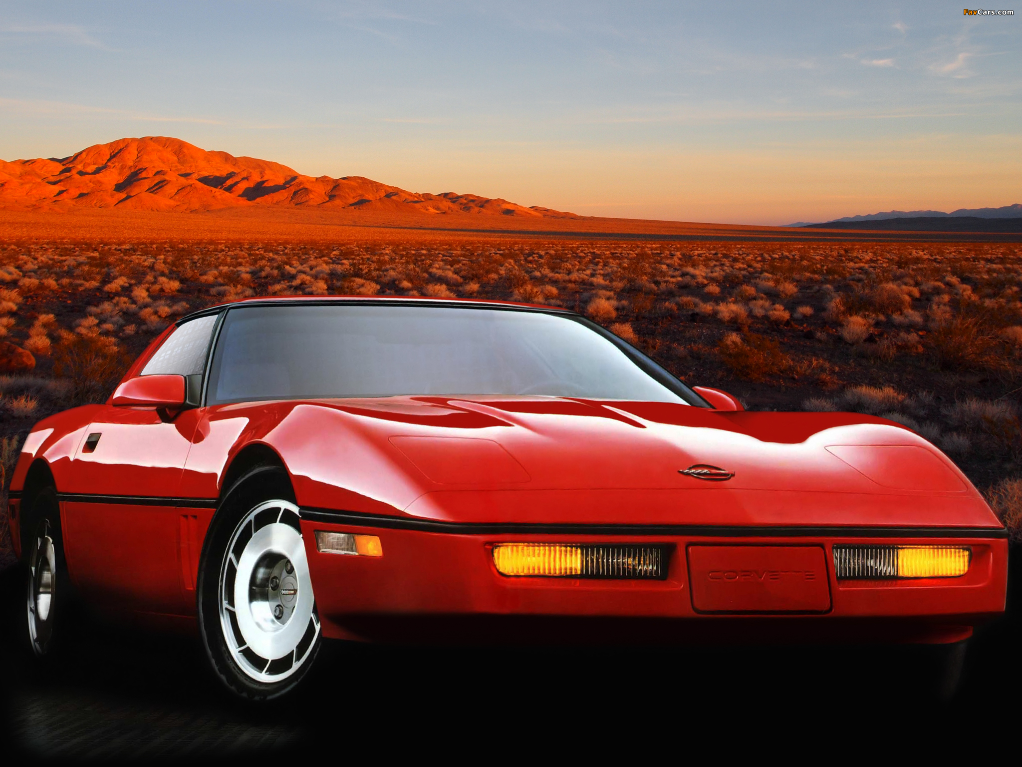 Images of Corvette Coupe (C4) 1983–91 (2048 x 1536)