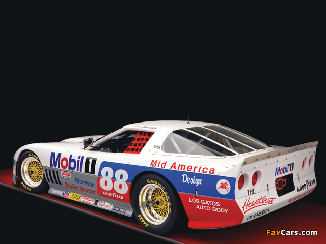 Images of Corvette IMSA GTO (C4) 1988 (640 x 480)