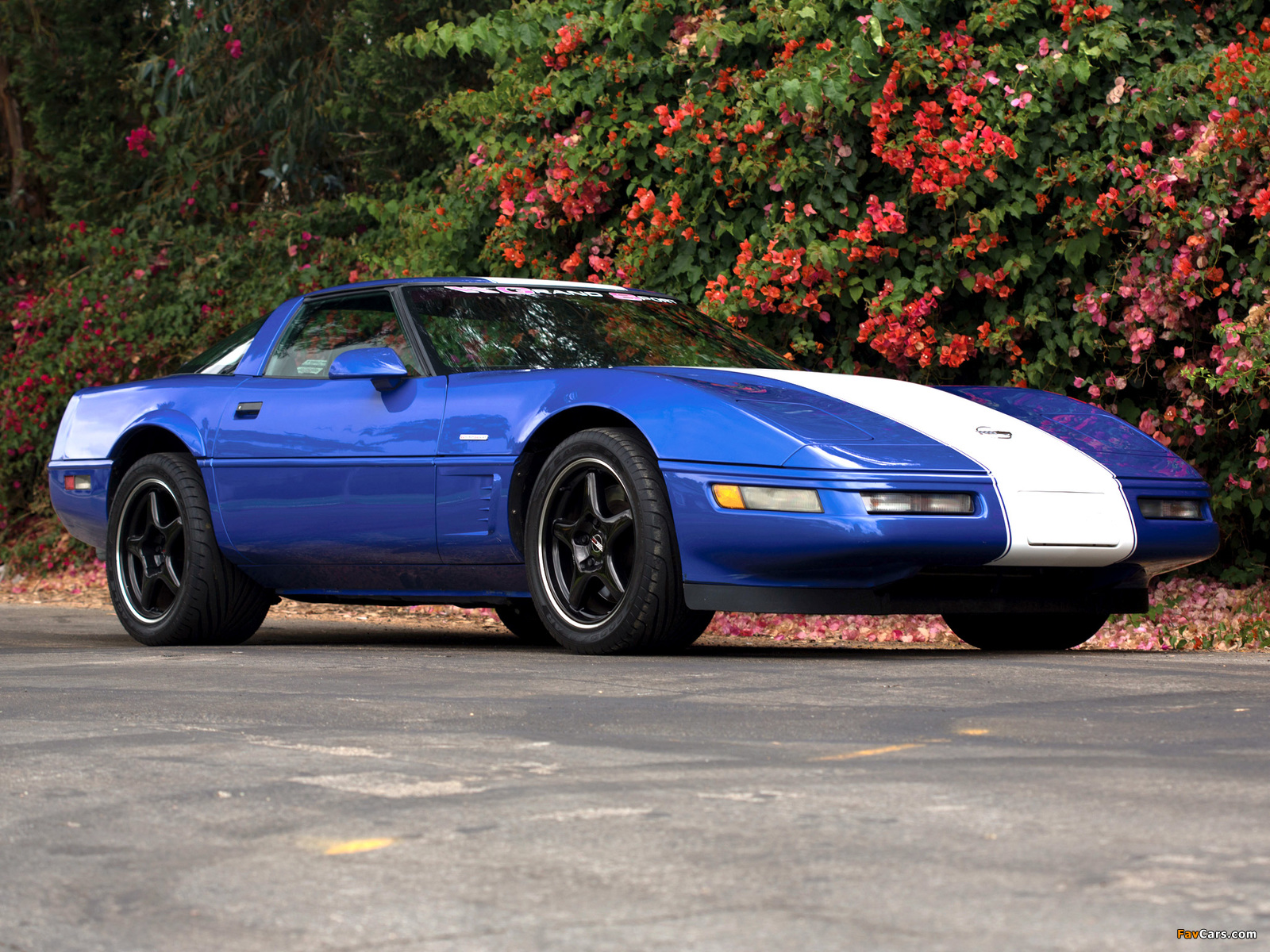 Images of Corvette Grand Sport Coupe (C4) 1996 (1600 x 1200)