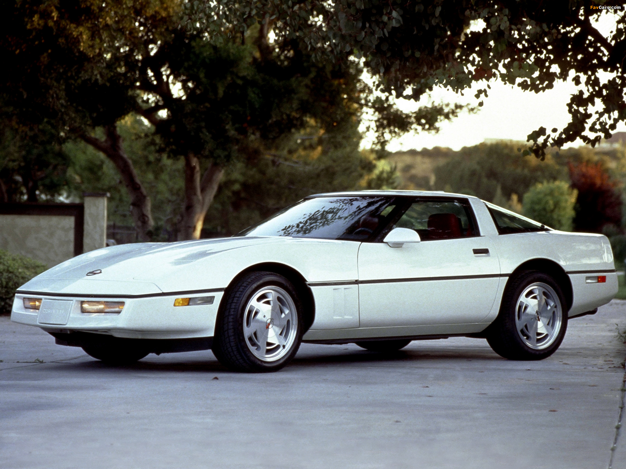 Photos of Corvette Coupe (C4) 1983–91 (2048 x 1536)