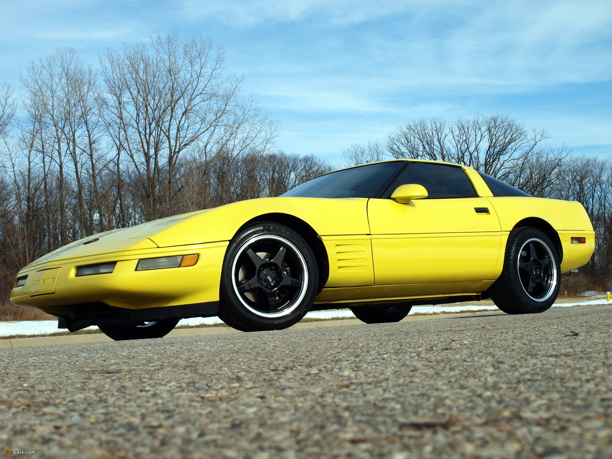 Photos of Corvette Coupe (C4) 1991–96 (2048 x 1536)