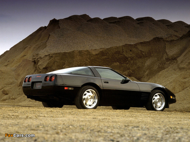 Photos of Corvette Coupe (C4) 1991–96 (640 x 480)