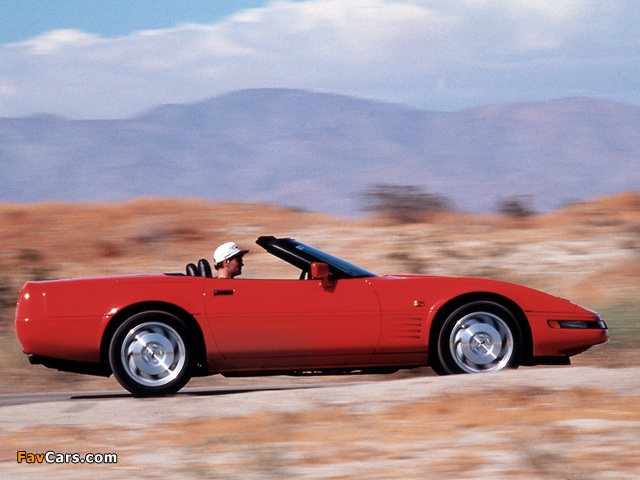 Pictures of Corvette Convertible EU-spec (C4) 1991–96 (640 x 480)