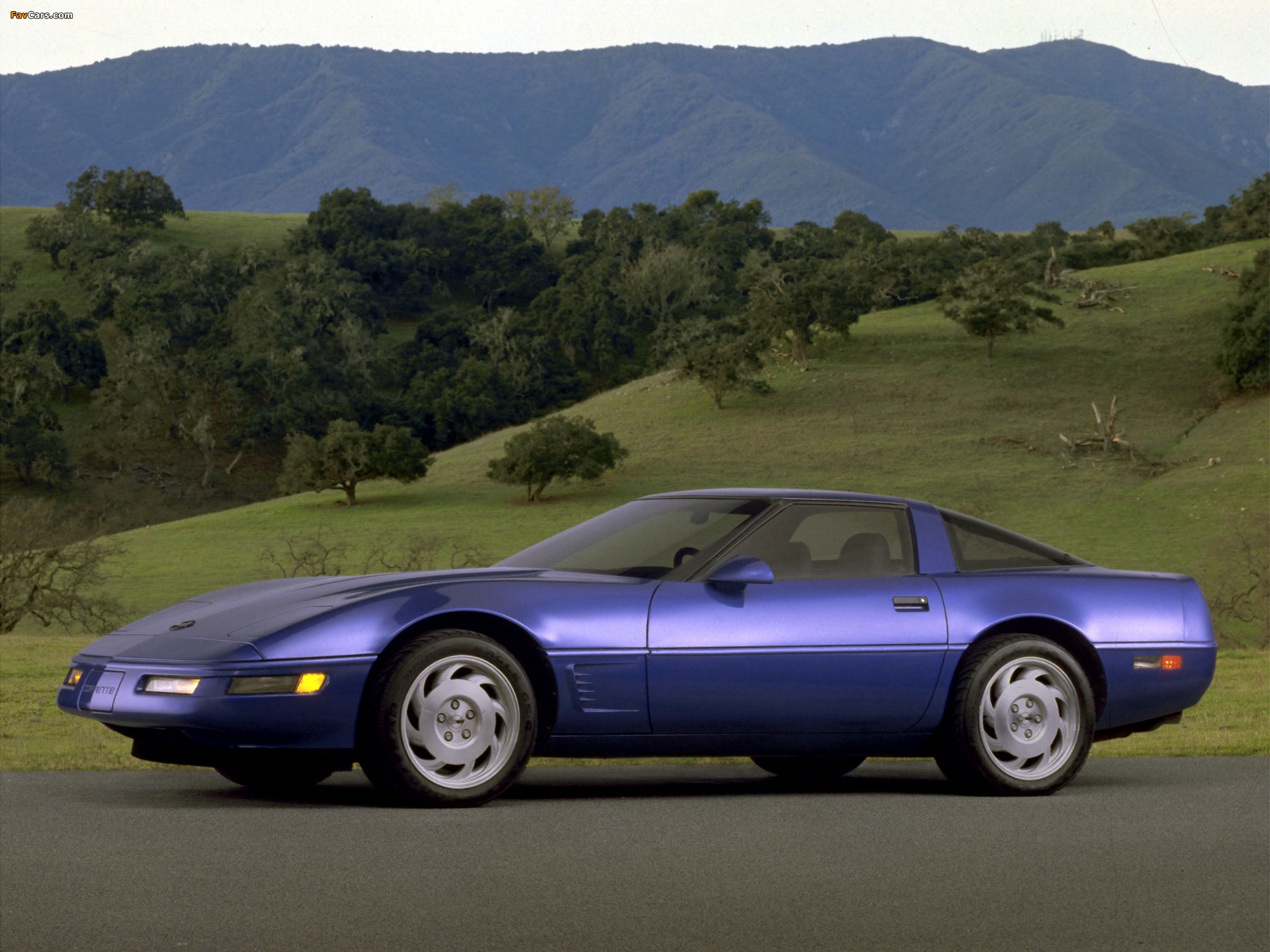 Pictures of Corvette Coupe (C4) 1991–96 (2048 x 1536)