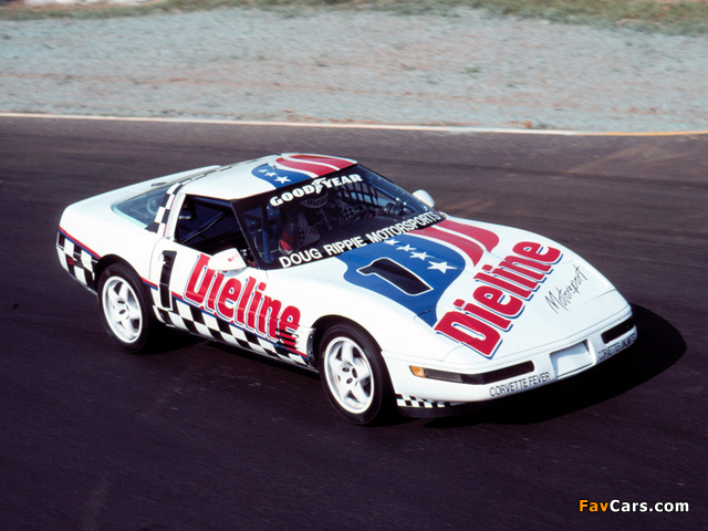 Pictures of Corvette C4 (640 x 480)