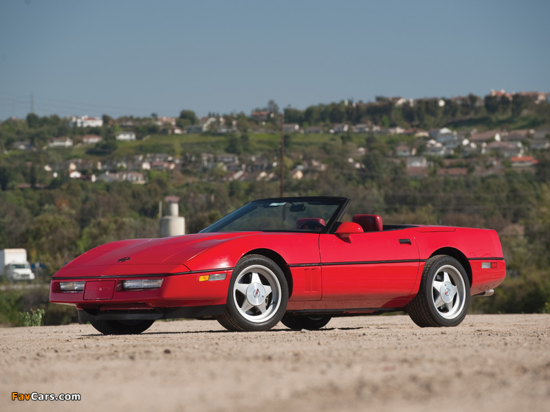 Callaway Twin Turbo Corvette Convertible (B2K) 1989 wallpapers (800 x 600)