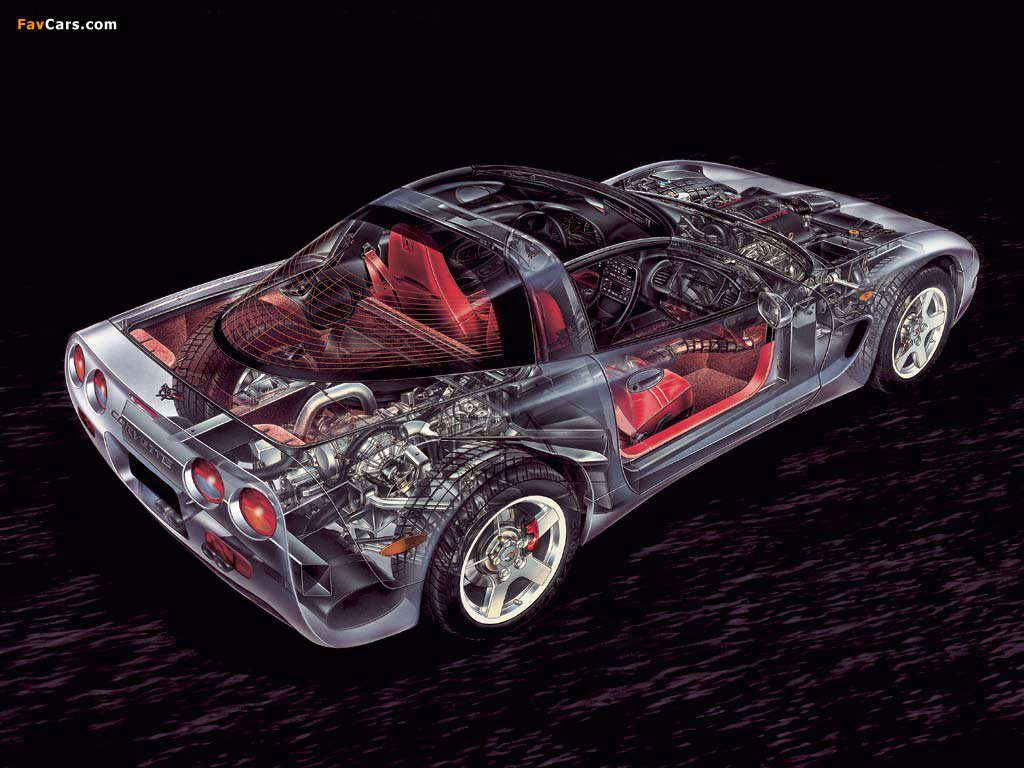 Corvette Coupe EU-spec (C5) 1997–2004 images (1024 x 768)