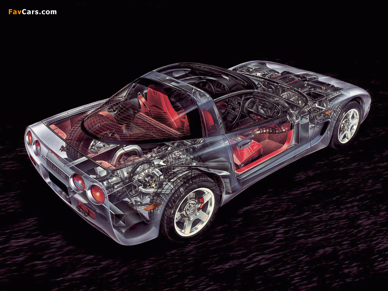 Corvette Coupe EU-spec (C5) 1997–2004 images (800 x 600)