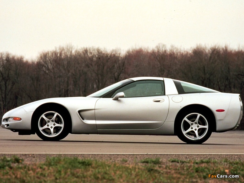 Corvette Coupe (C5) 1997–2004 images (800 x 600)