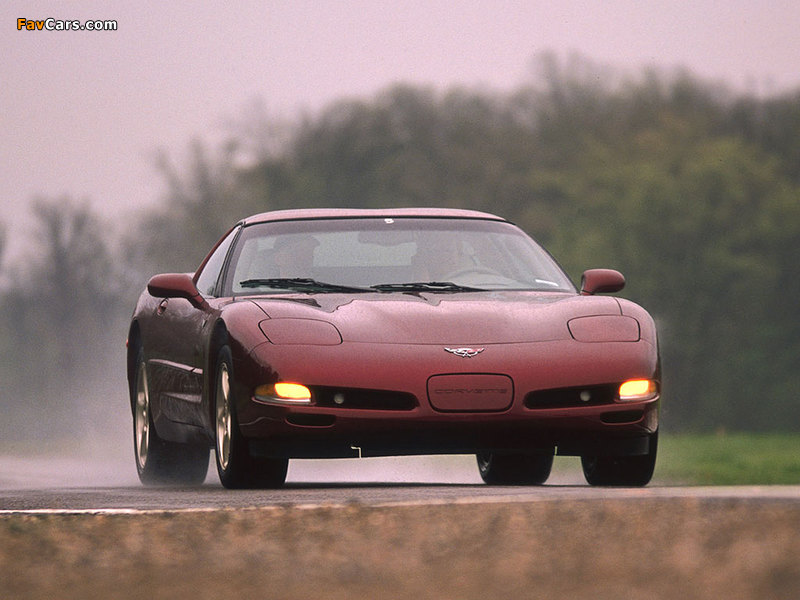 Corvette Coupe (C5) 1997–2004 images (800 x 600)