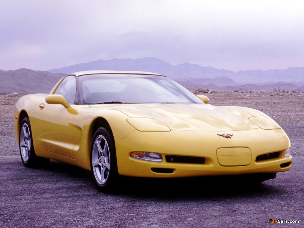 Corvette Coupe (C5) 1997–2004 photos (1024 x 768)