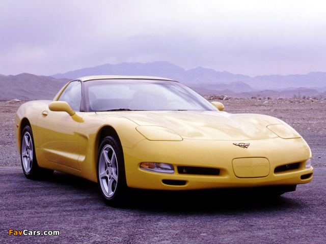 Corvette Coupe (C5) 1997–2004 photos (640 x 480)