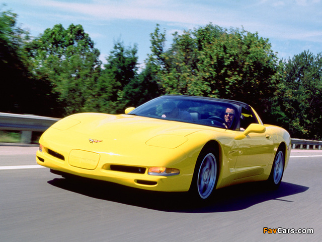 Corvette Coupe (C5) 1997–2004 photos (640 x 480)