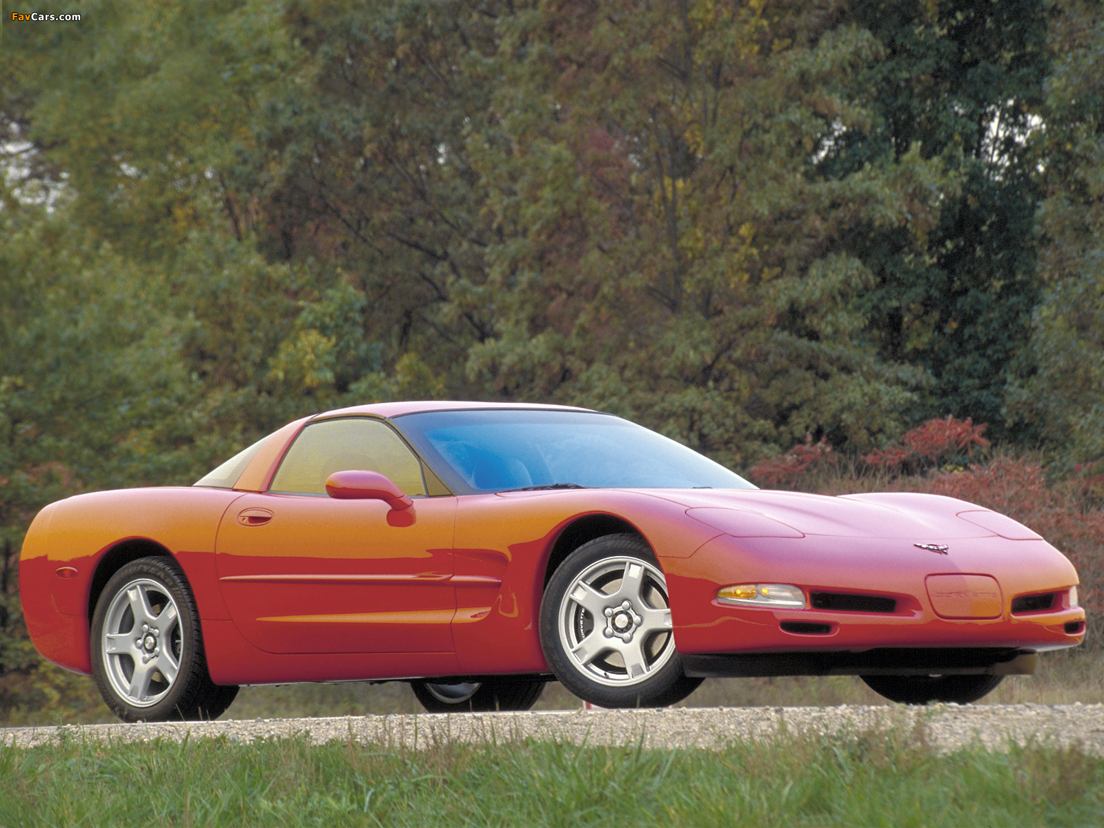 Corvette Coupe (C5) 1997–2004 pictures (1600 x 1200)