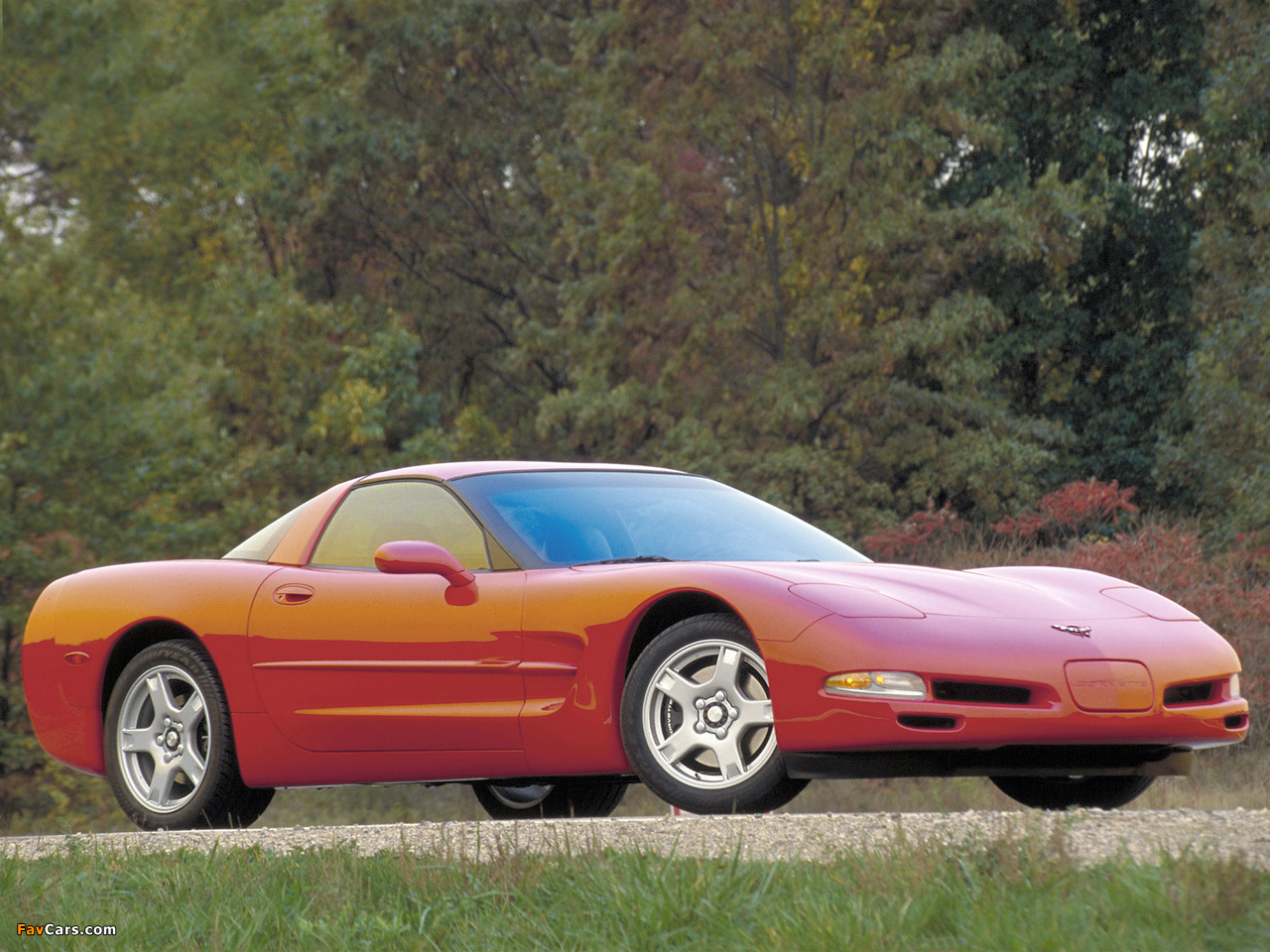 Corvette Coupe (C5) 1997–2004 pictures (1280 x 960)
