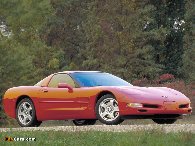 Corvette Coupe (C5) 1997–2004 pictures (640 x 480)