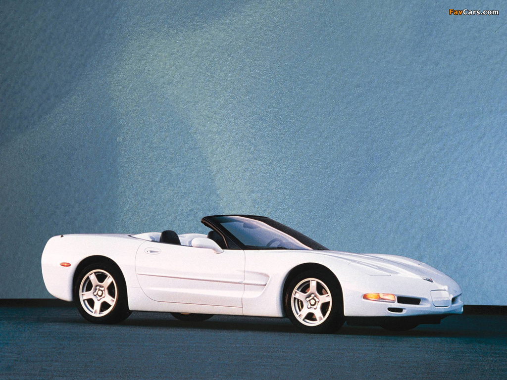 Corvette Convertible (C5) 1998–2004 images (1024 x 768)