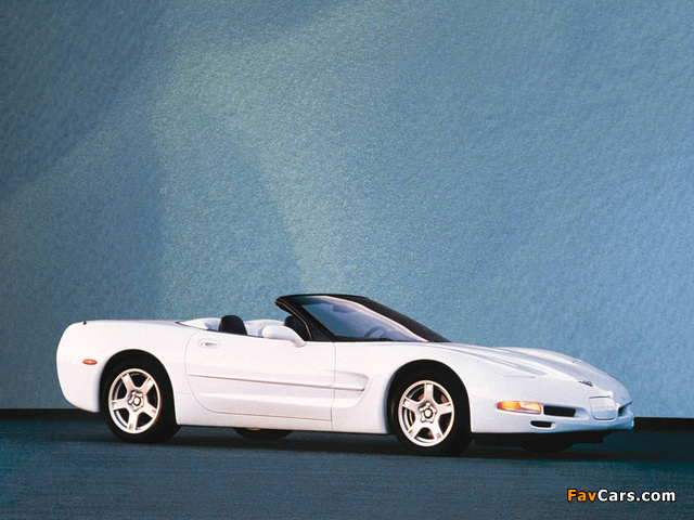Corvette Convertible (C5) 1998–2004 images (640 x 480)