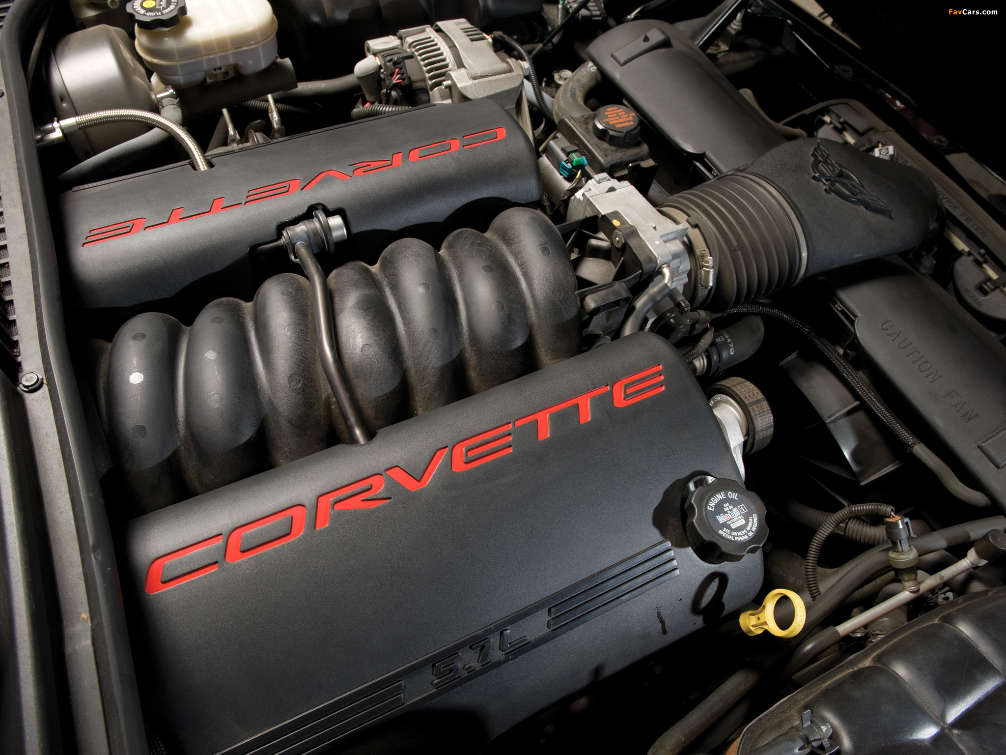 Corvette Convertible (C5) 1998–2004 photos (2048 x 1536)