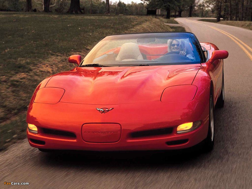 Corvette Convertible (C5) 1998–2004 photos (1024 x 768)