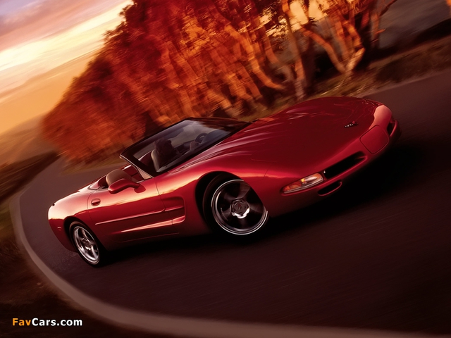 Corvette Convertible (C5) 1998–2004 pictures (640 x 480)