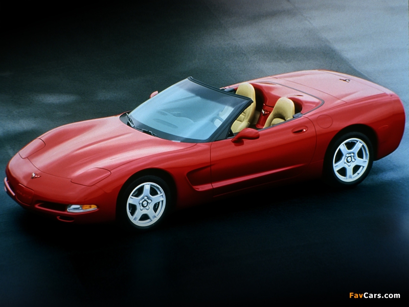 Corvette Convertible (C5) 1998–2004 wallpapers (800 x 600)