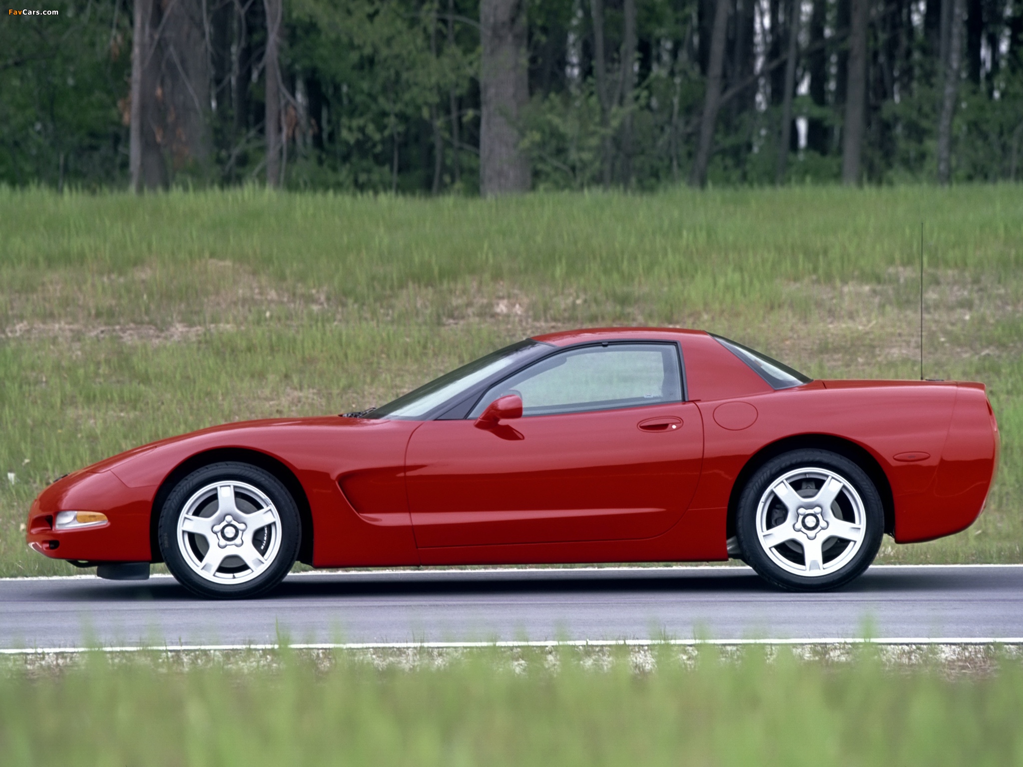 Corvette Fixed Roof Coupe (C5) 1999–2000 wallpapers (2048 x 1536)