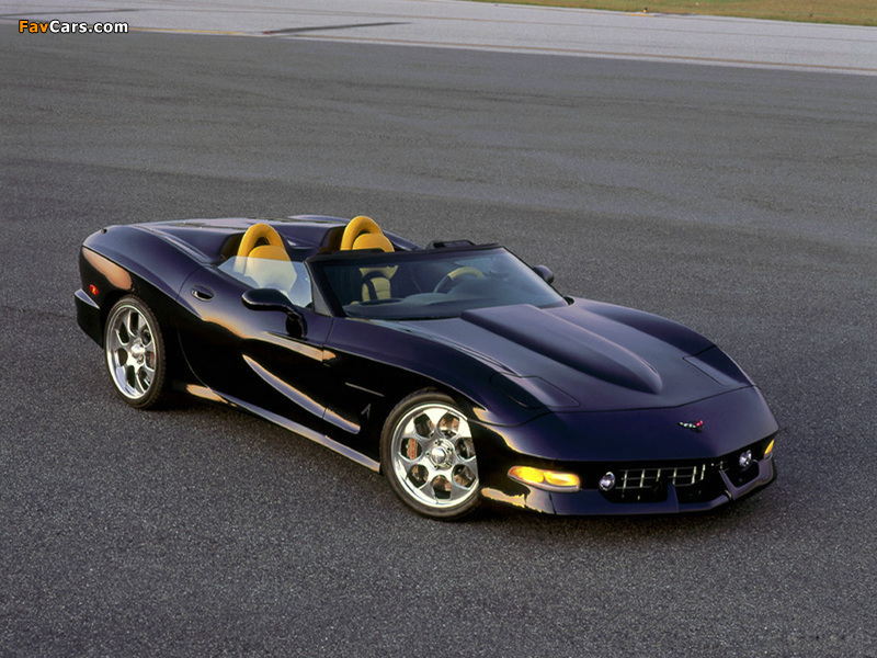 Avelate Corvette C5 Speedster 2000 pictures (800 x 600)