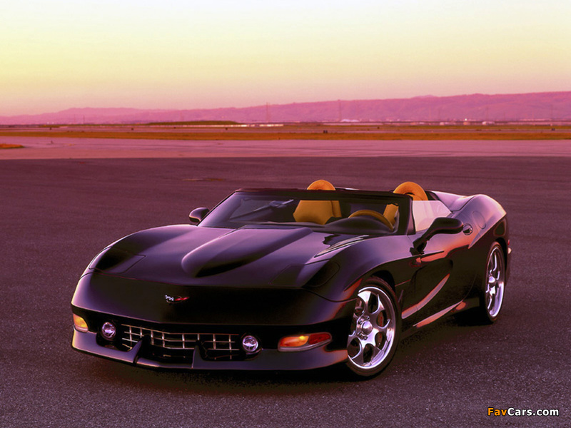 Avelate Corvette C5 Speedster 2000 pictures (800 x 600)