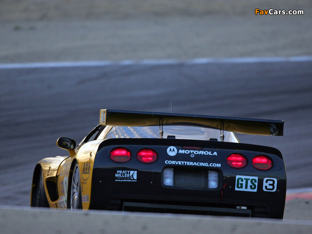 Corvette C5R 2001–04 photos (640 x 480)