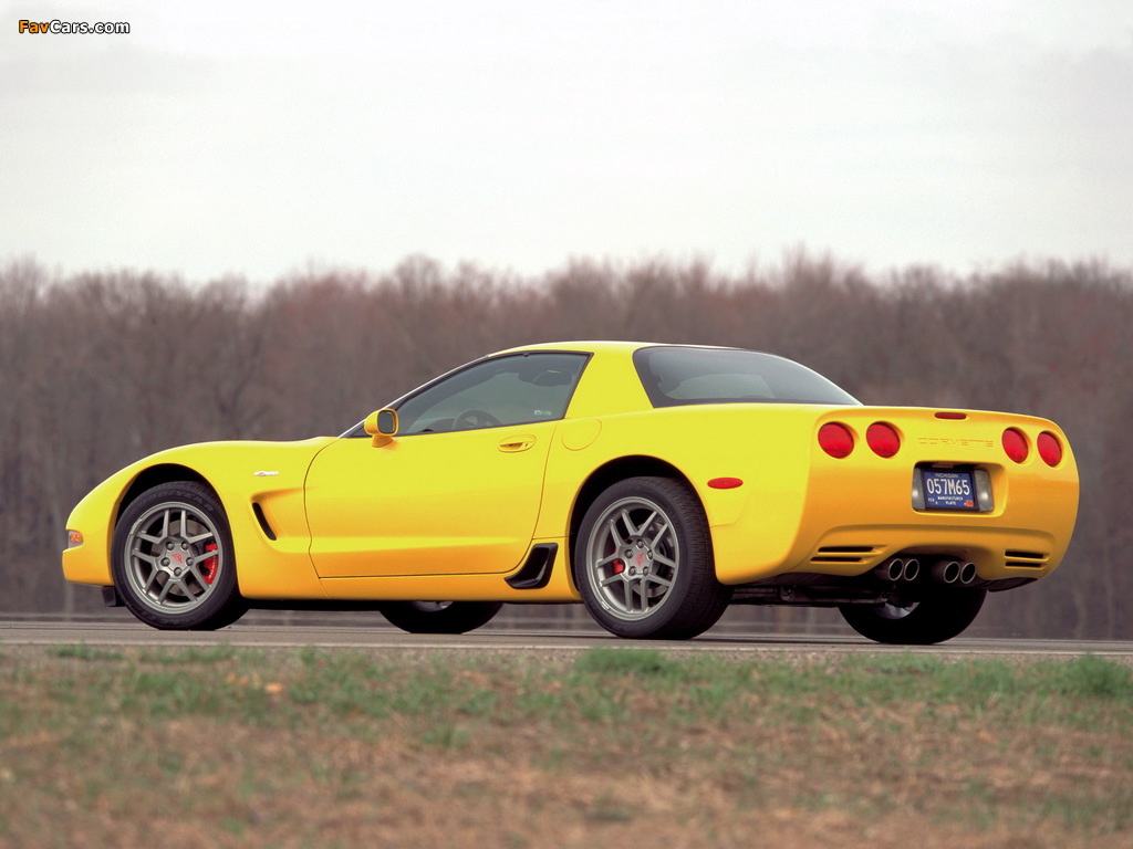 Corvette Z06 (C5) 2001–03 photos (1024 x 768)