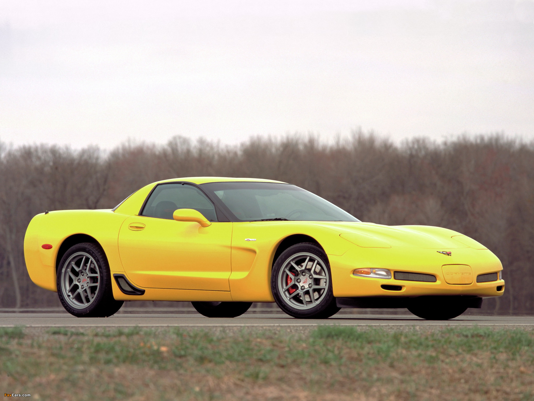 Corvette Z06 (C5) 2001–03 pictures (2048 x 1536)