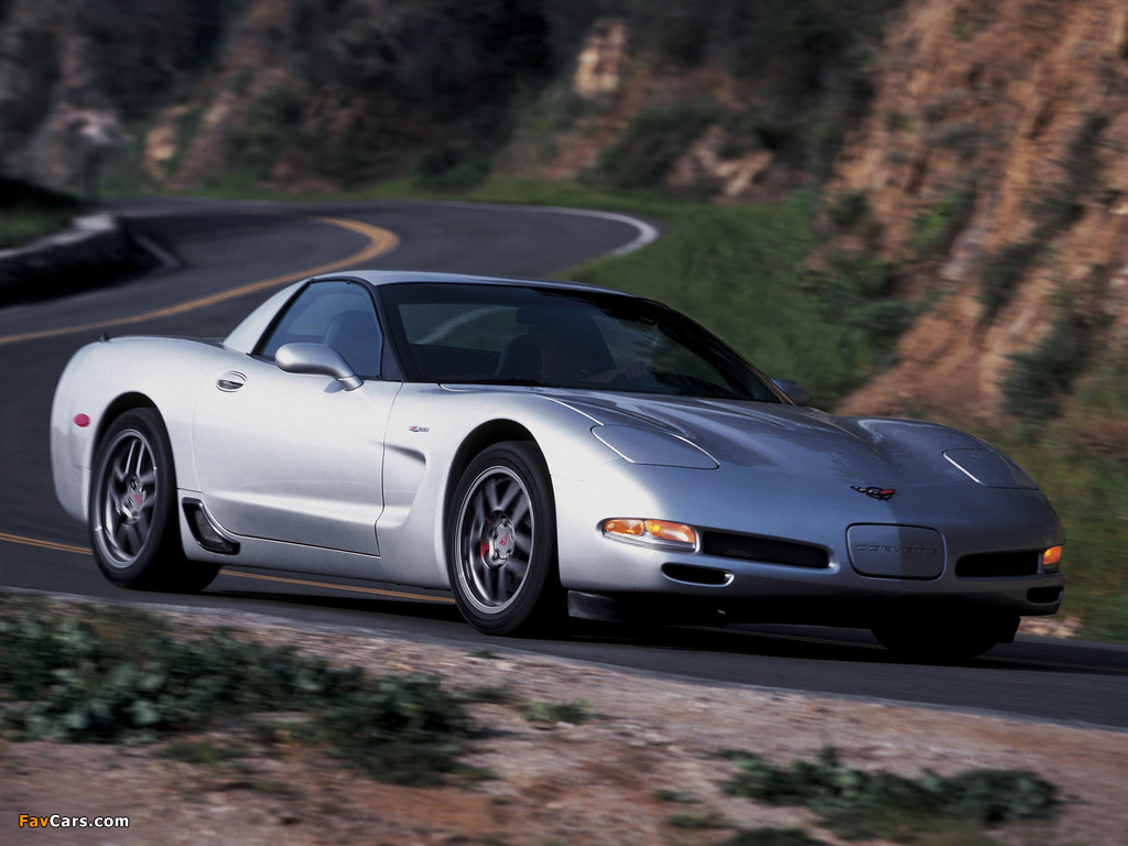 Corvette Z06 (C5) 2001–03 pictures (1024 x 768)
