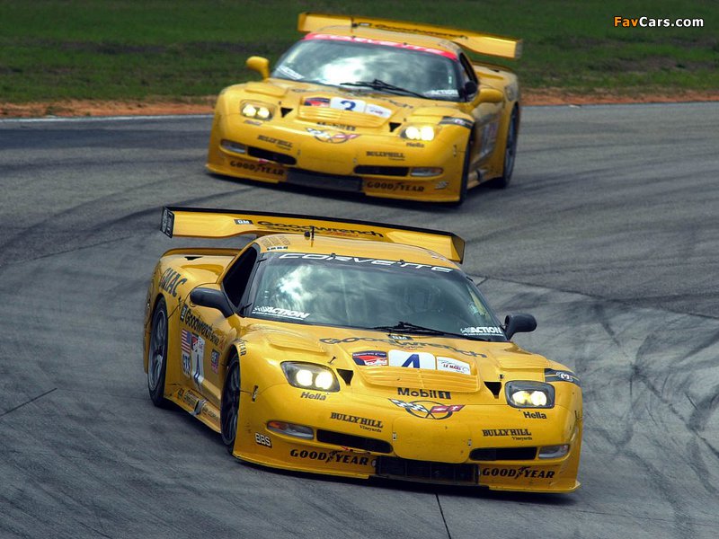 Corvette C5R 2001–04 pictures (800 x 600)