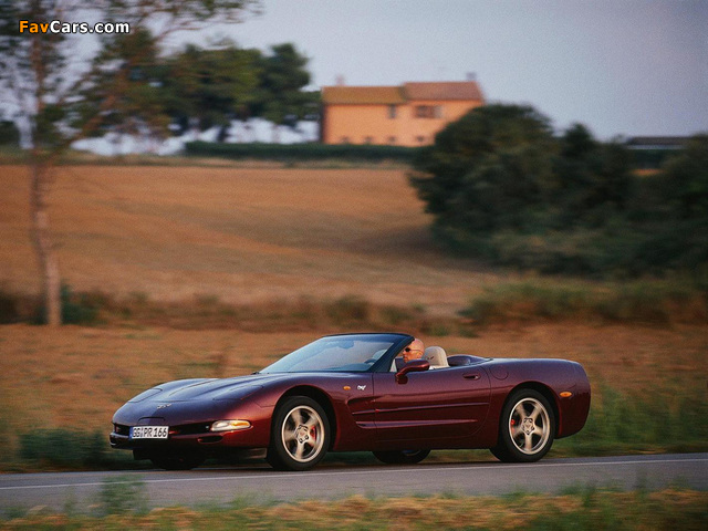 Corvette Convertible 50th Anniversary (C5) 2002–03 images (640 x 480)