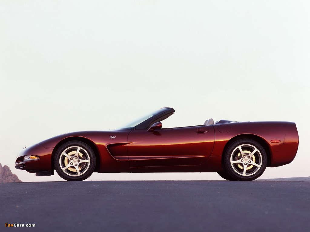 Corvette Convertible 50th Anniversary (C5) 2002–03 images (1024 x 768)