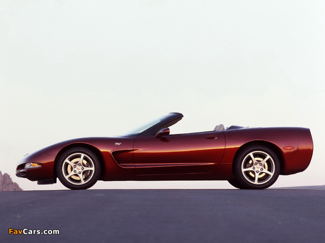 Corvette Convertible 50th Anniversary (C5) 2002–03 images (640 x 480)
