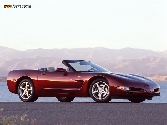 Corvette Convertible 50th Anniversary (C5) 2002–03 photos (640 x 480)