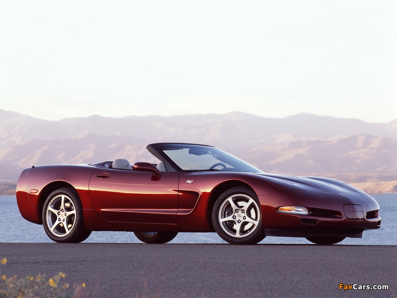 Corvette Convertible 50th Anniversary (C5) 2002–03 photos (800 x 600)