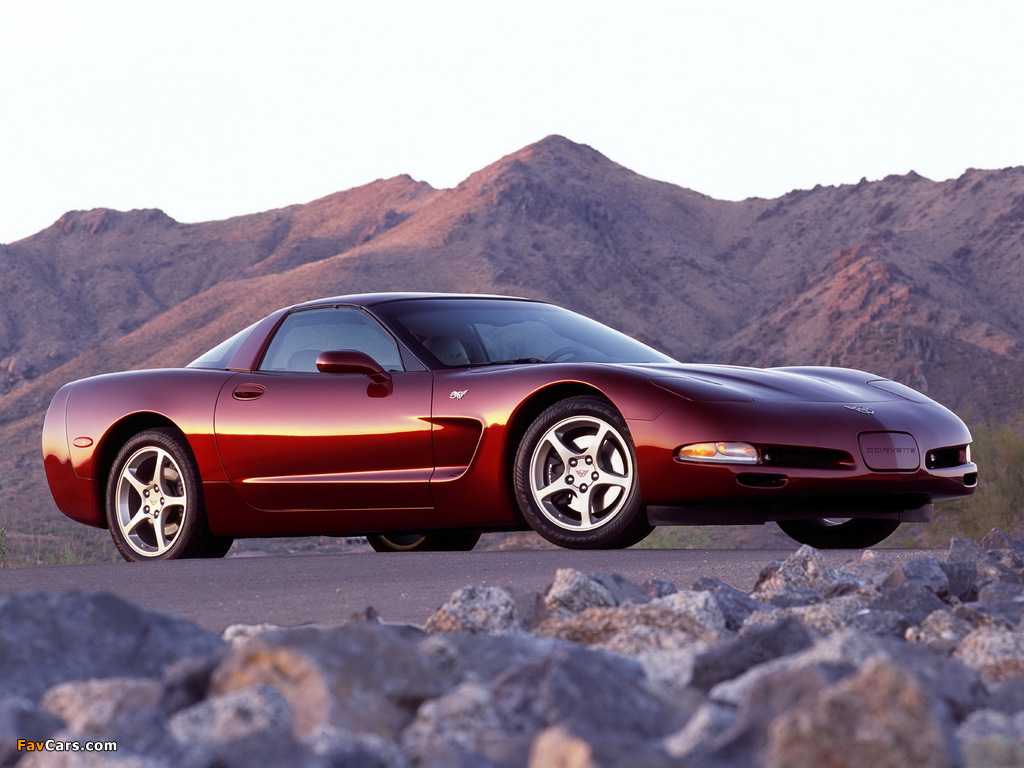 Corvette Coupe 50th Anniversary (C5) 2002–03 photos (1024 x 768)