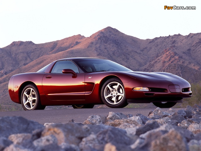 Corvette Coupe 50th Anniversary (C5) 2002–03 photos (640 x 480)