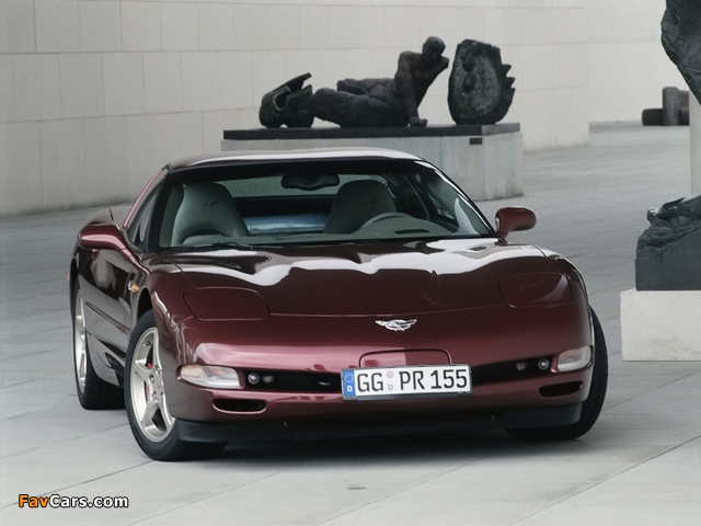 Corvette Coupe 50th Anniversary EU-spec (C5) 2002–03 pictures (640 x 480)