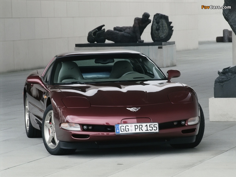 Corvette Coupe 50th Anniversary EU-spec (C5) 2002–03 pictures (800 x 600)