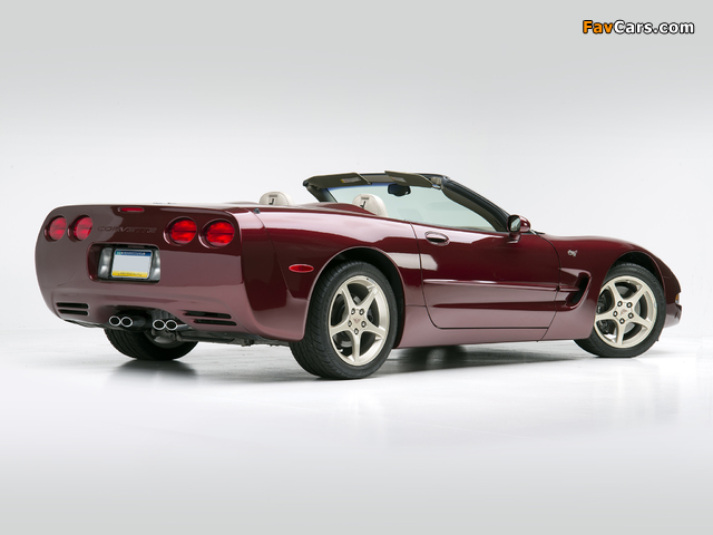 Corvette Convertible 50th Anniversary (C5) 2002–03 pictures (640 x 480)